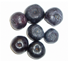 Ozone Treated Blueberries